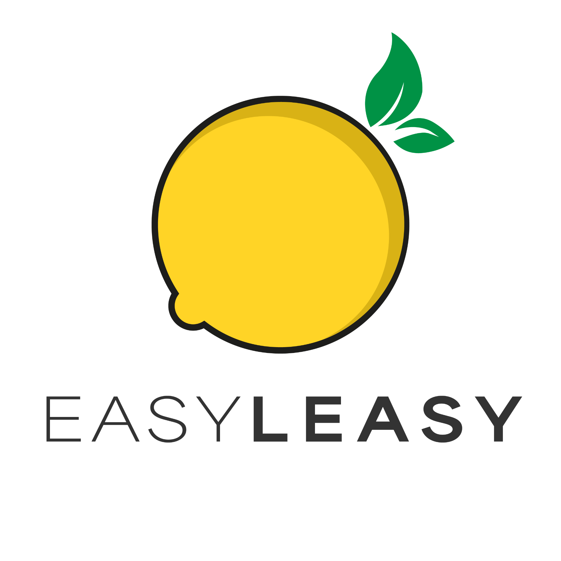 Easy Leasy Logo